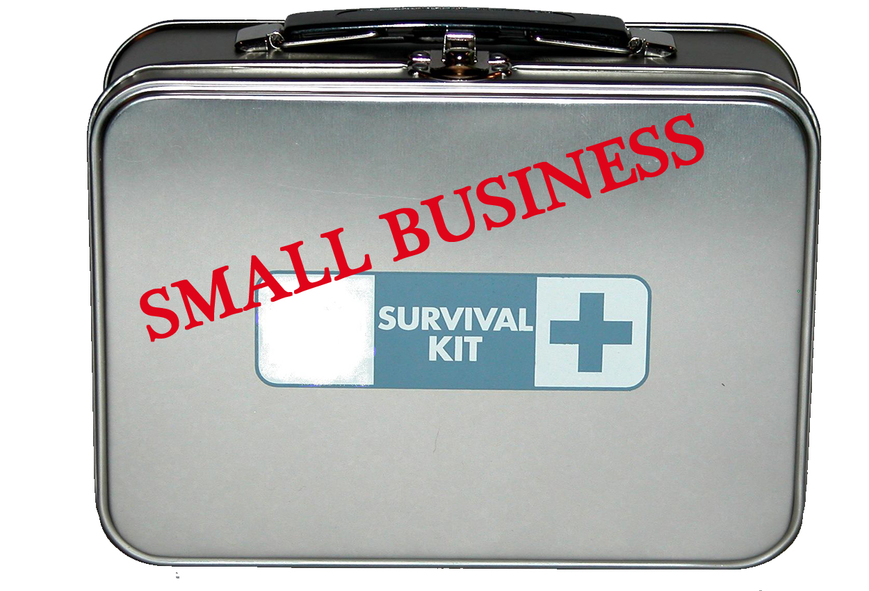 Small business survival